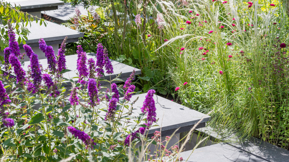 Свежая идея для дизайна: регулярный сад на заднем дворе в современном стиле с покрытием из каменной брусчатки - отличное фото интерьера