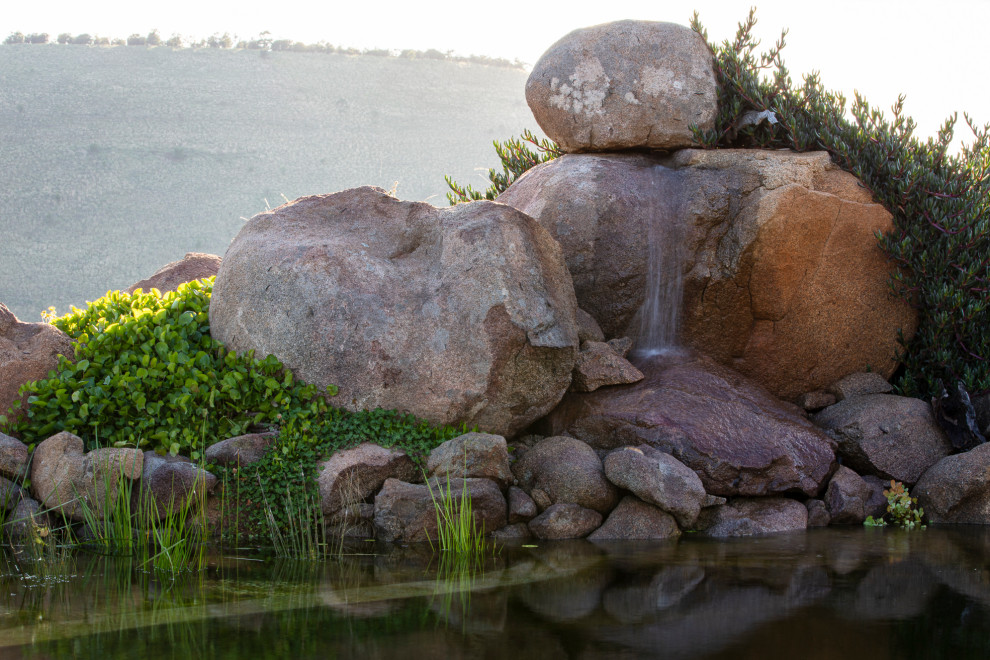 Exemple d'un jardin arrière l'été avec une cascade et une exposition ensoleillée.