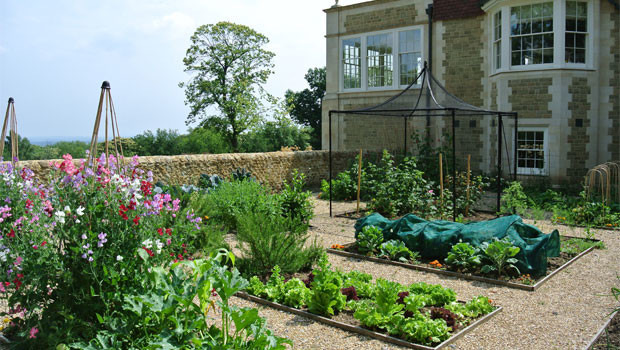 Imagen de jardín tradicional grande en verano en patio trasero con exposición total al sol, gravilla y huerto