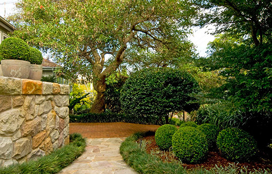Esempio di un giardino design in ombra di medie dimensioni e davanti casa in estate con un ingresso o sentiero e pavimentazioni in pietra naturale