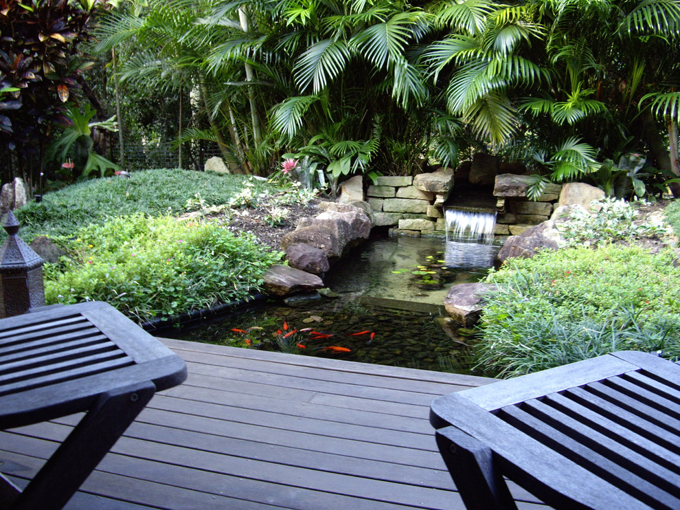 Aménagement d'un jardin sur cour exotique l'été avec un point d'eau et une exposition partiellement ombragée.