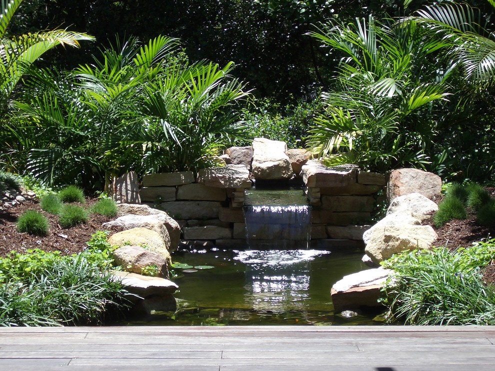 Idee per un giardino tropicale esposto a mezz'ombra in cortile in estate con fontane