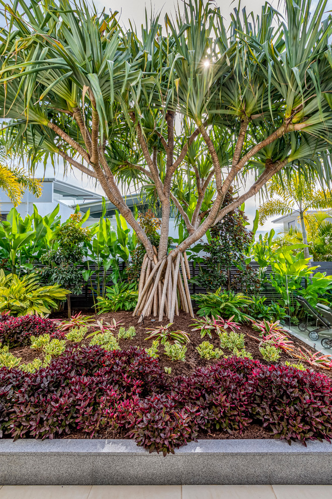 Noosaville Tropical Landscape Sunshine Coast by Earth Creation
