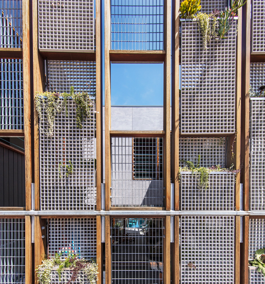 Foto di un giardino xeriscape minimalista esposto in pieno sole