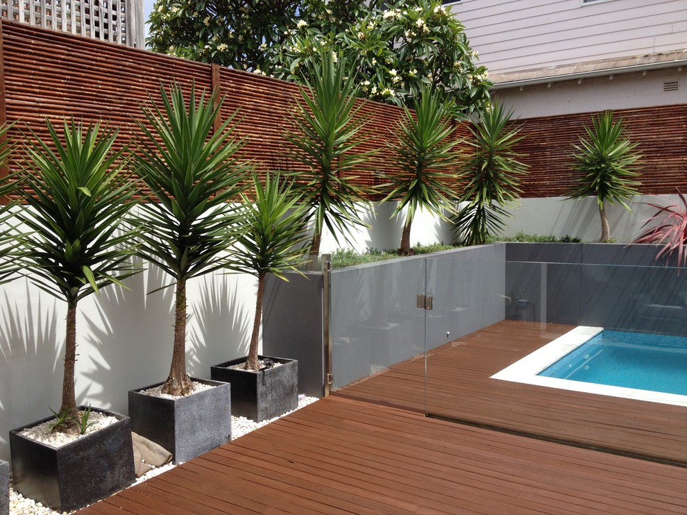 Immagine di un giardino tropicale esposto in pieno sole dietro casa con pedane