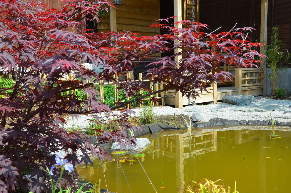 На фото: японский сад среднего размера на заднем дворе в восточном стиле с