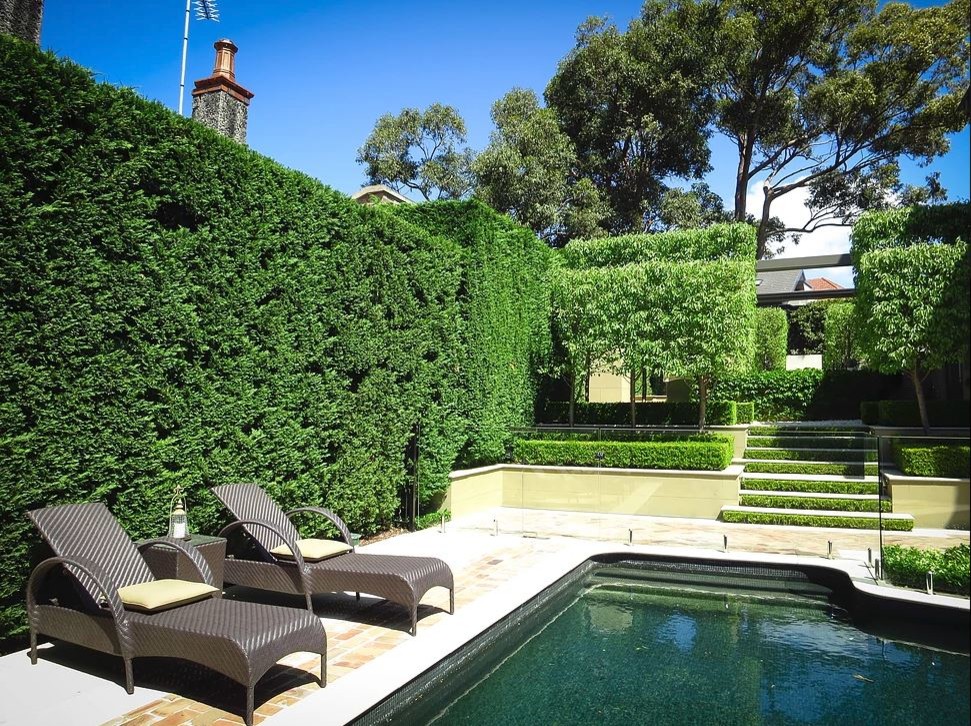 Inspiration for a mid-sized traditional partial sun backyard formal garden in Sydney.