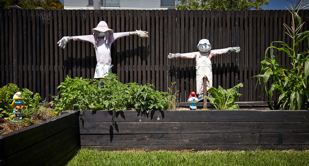 Photo of a contemporary garden in Melbourne.