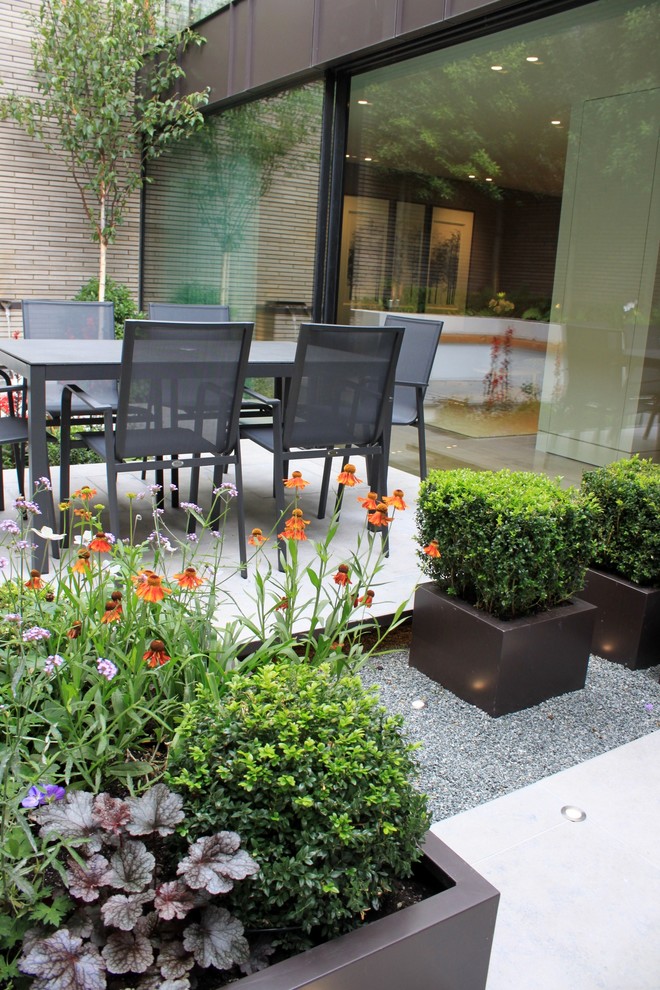 This is an example of a contemporary landscaping in London.