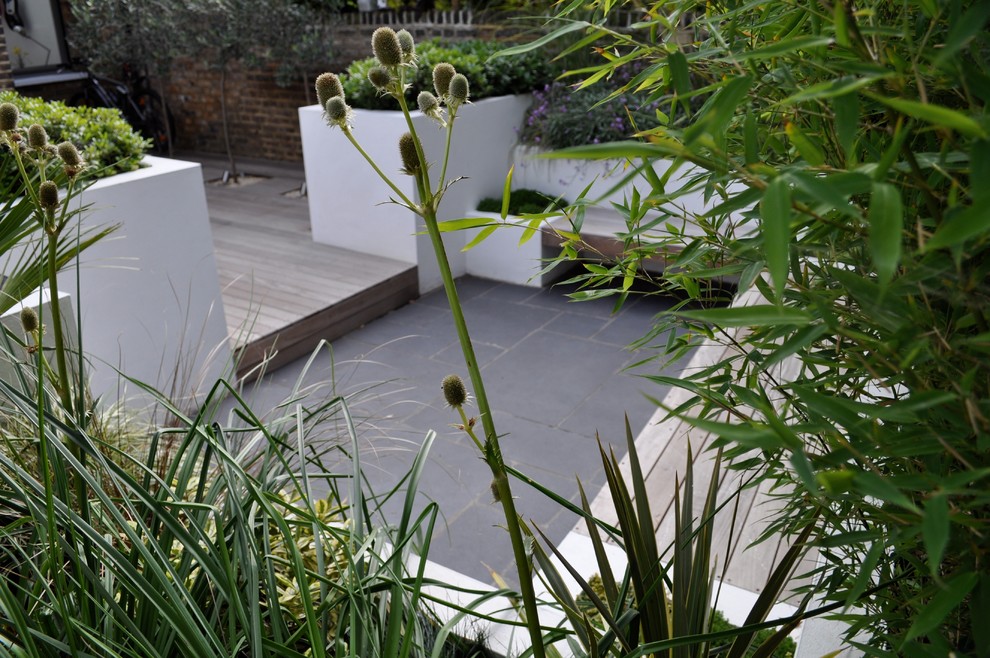 Esempio di un giardino formale design esposto in pieno sole di medie dimensioni e dietro casa con pedane