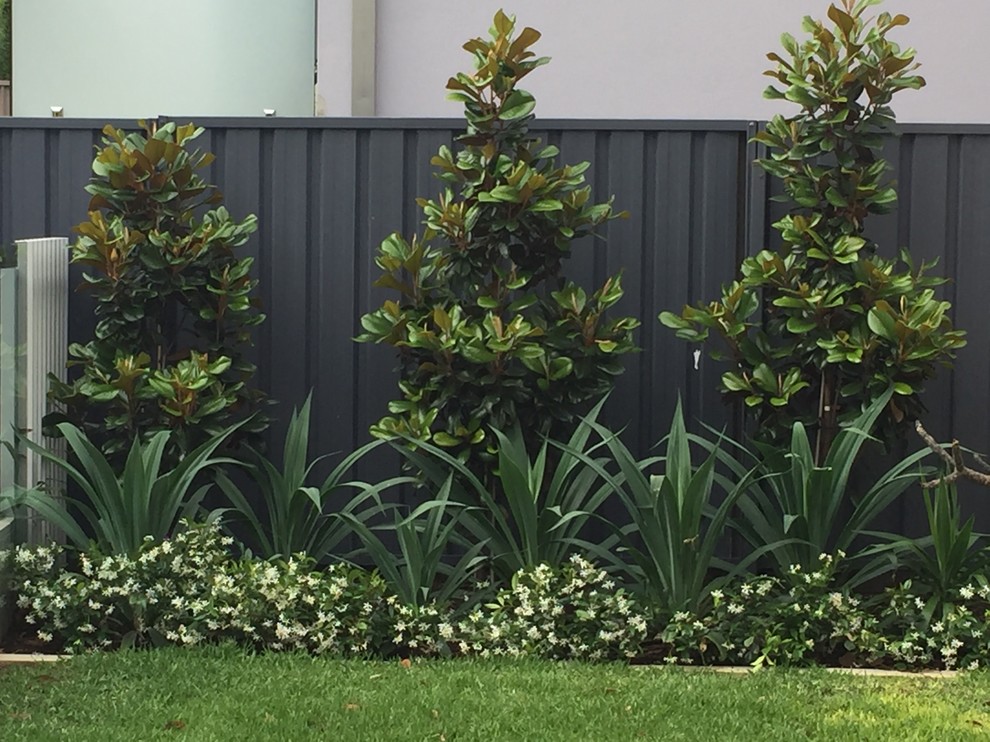 シドニーにある低価格の中くらいなコンテンポラリースタイルのおしゃれな裏庭 (天然石敷き) の写真