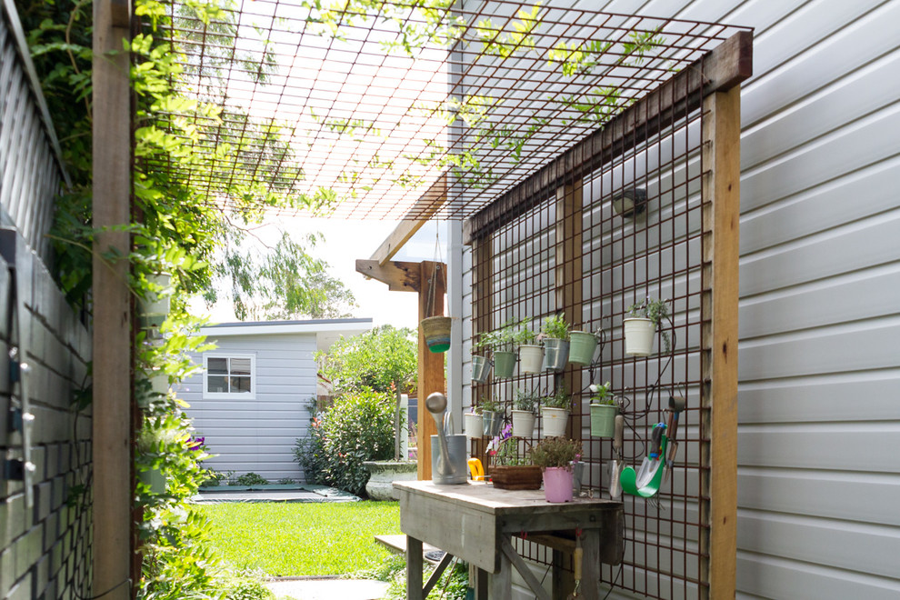 Classic side garden in Sydney with a living wall.