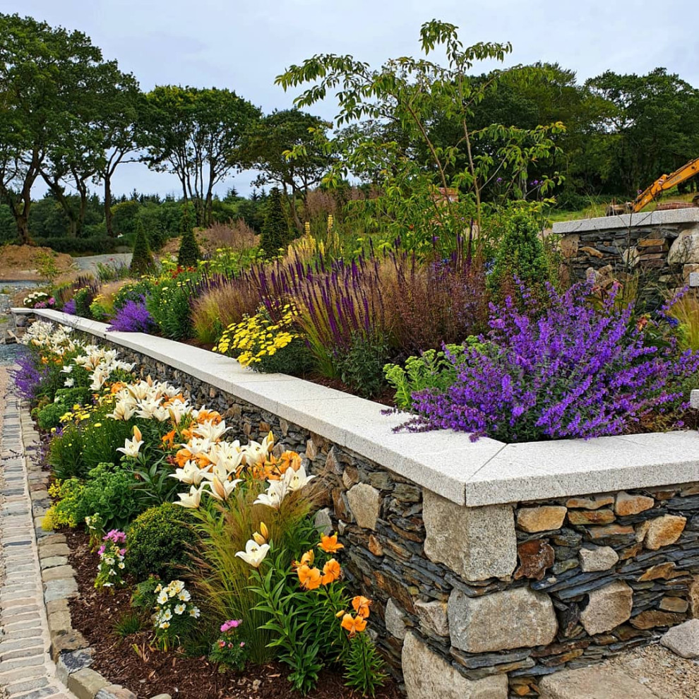 Photo of a contemporary landscaping in Dublin.
