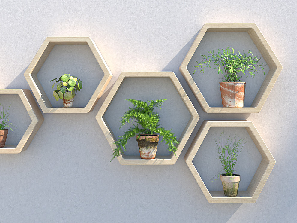 Outdoor Hexagon Shelves Modern Garden Oxfordshire by User Houzz