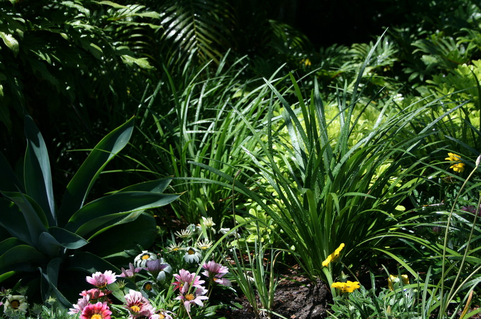 Bild på en liten eklektisk trädgård i delvis sol framför huset, med en trädgårdsgång