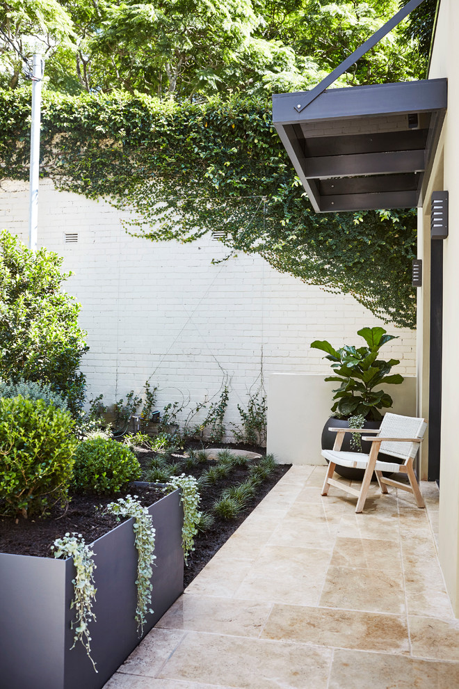 Design ideas for a small contemporary courtyard stone formal garden in Sydney.