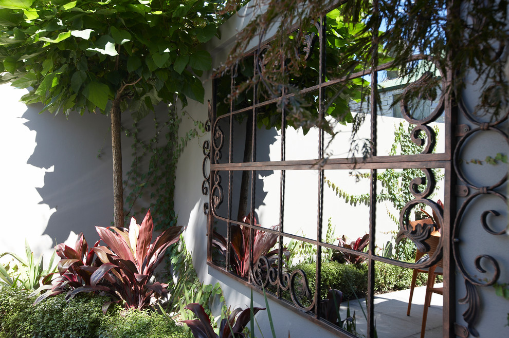 Пример оригинального дизайна: маленький регулярный сад на заднем дворе в современном стиле с полуденной тенью для на участке и в саду