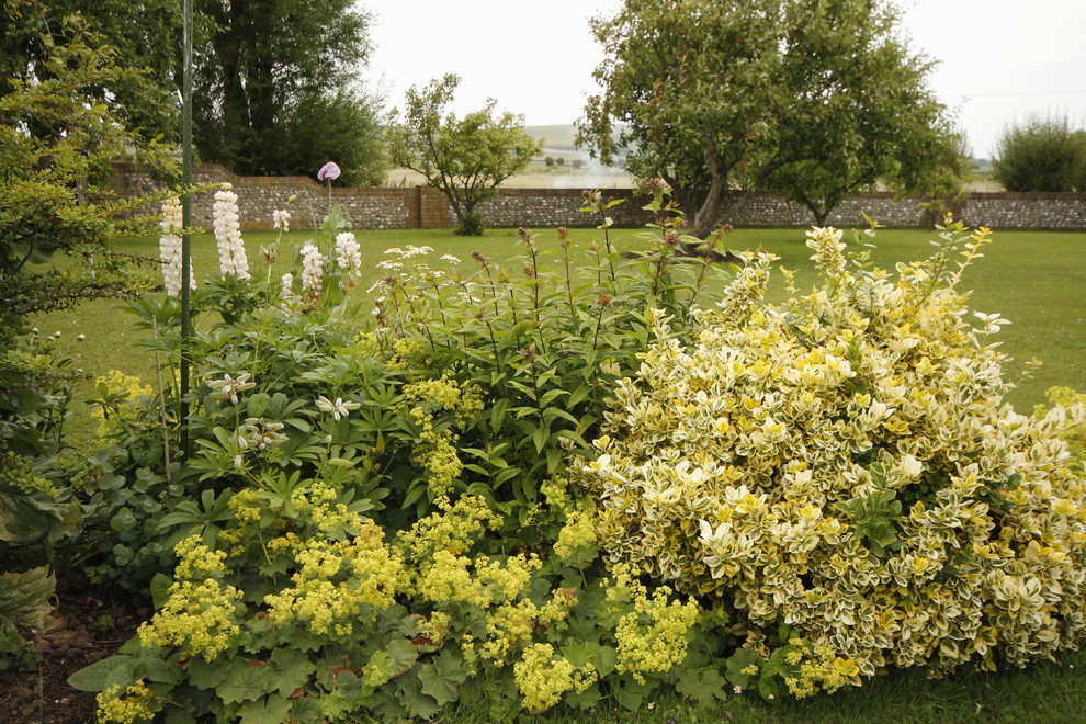 Foto di un grande giardino country esposto in pieno sole dietro casa in primavera