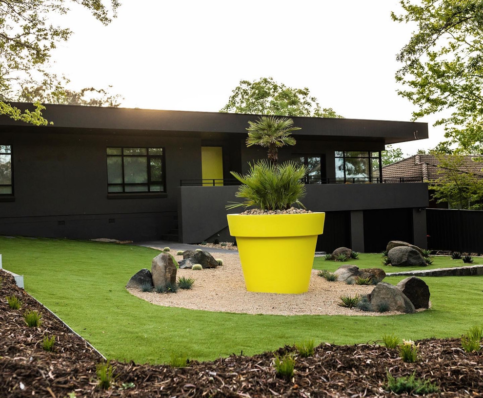Photo of a large midcentury front xeriscape full sun garden for summer in Canberra - Queanbeyan with a garden path and concrete paving.