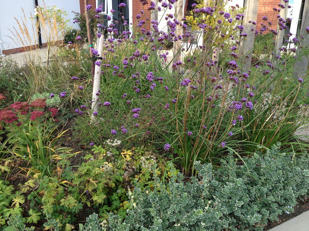 Imagen de jardín contemporáneo de tamaño medio en patio trasero con jardín francés, jardín de macetas, exposición total al sol y adoquines de piedra natural