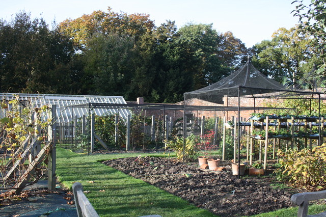 Peak and Flat Roof Roof Cage - Traditional - Landscape - Other - by Harrod  Horticultural