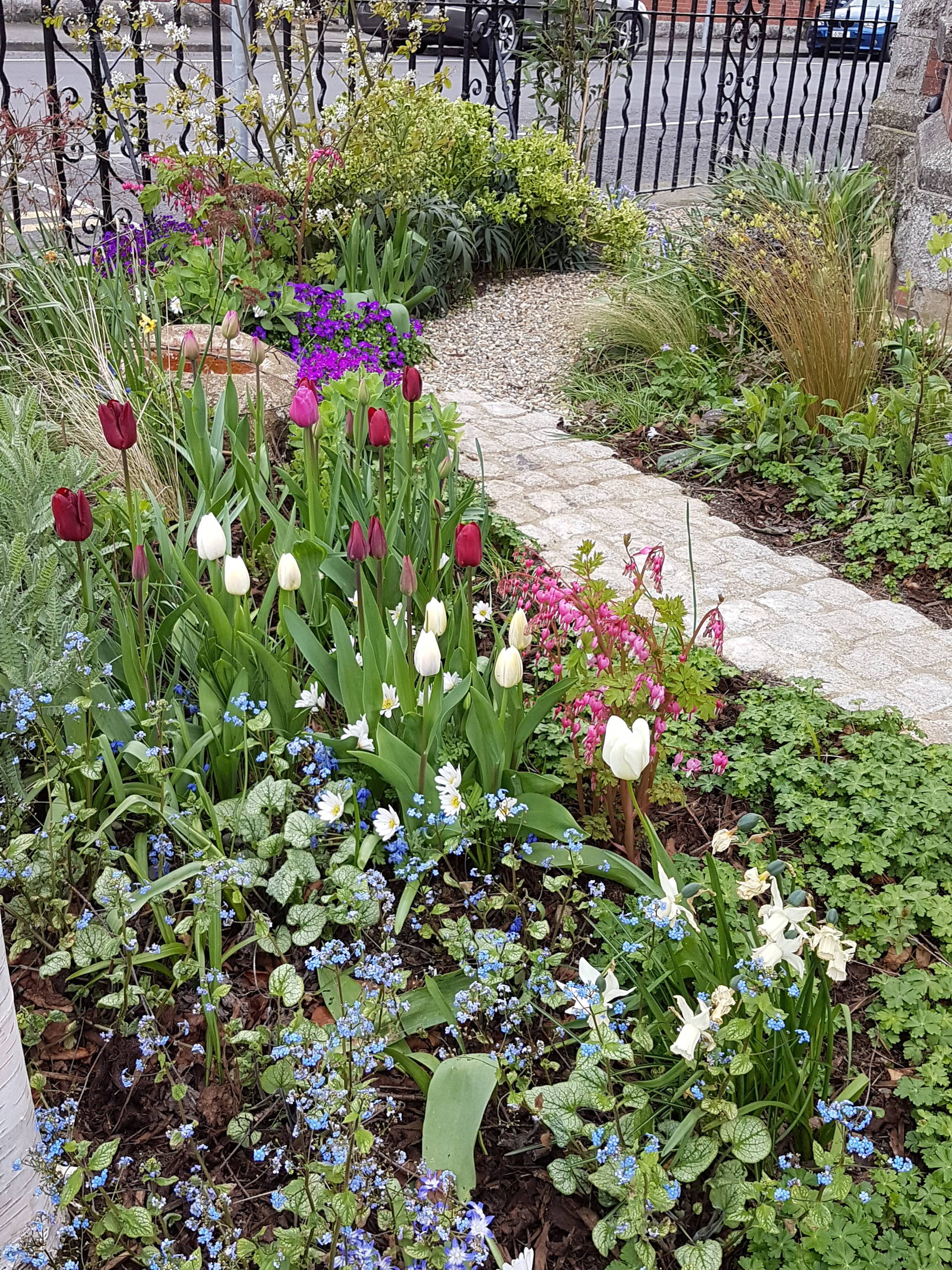 Which Shade Loving Bulbs To Plant Now For Spring Houzz Uk