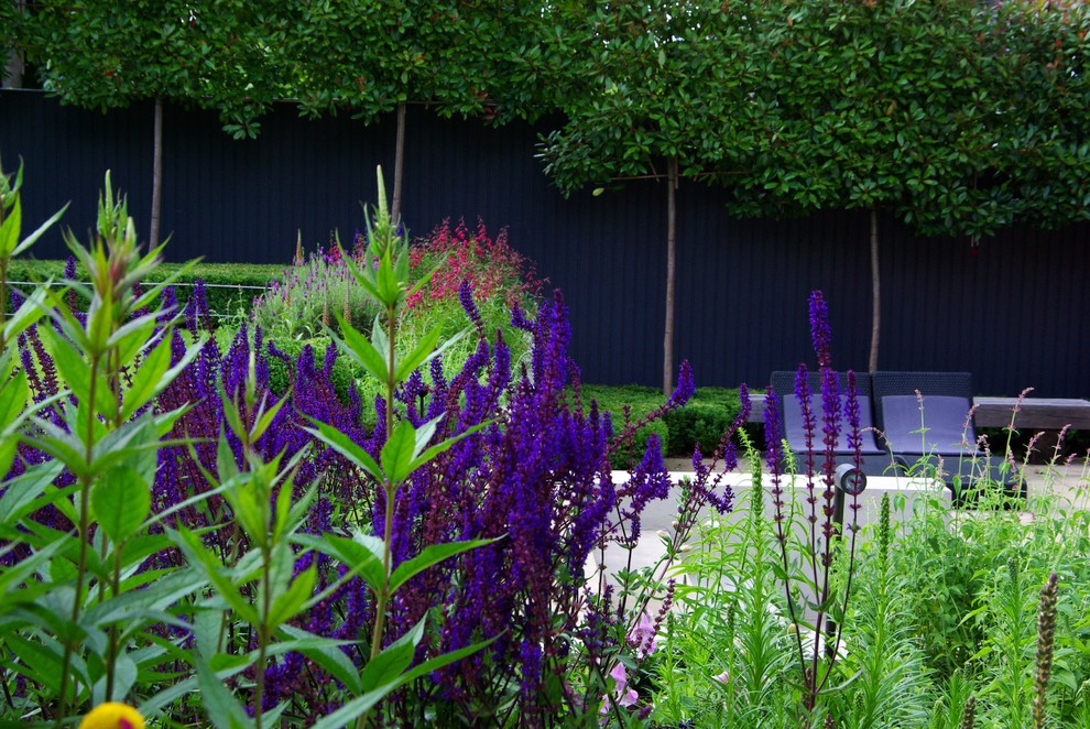 Foto di un giardino design