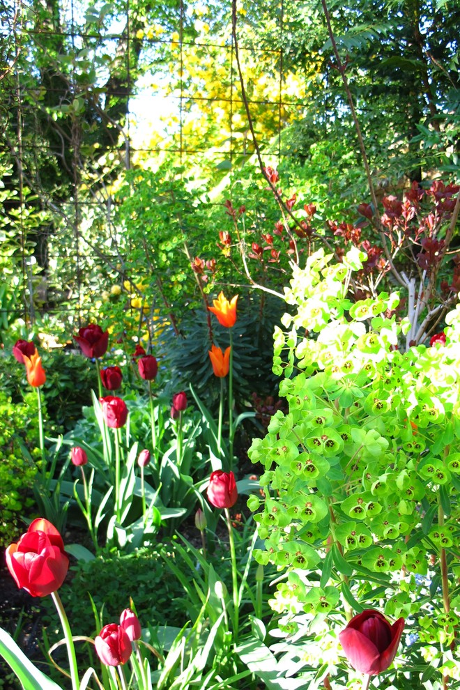 Inspiration pour un jardin arrière design de taille moyenne et au printemps avec une exposition ensoleillée et du gravier.