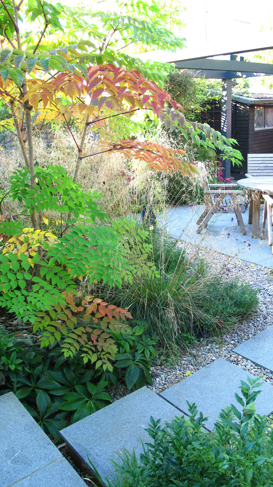 Photo of a medium sized contemporary back partial sun garden for autumn in London with a garden path and natural stone paving.