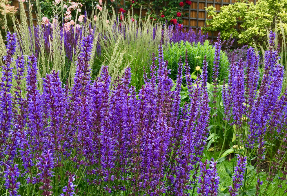 Idée de décoration pour un jardin arrière chalet de taille moyenne et l'été avec un massif de fleurs et une exposition ensoleillée.