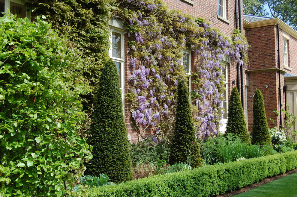 Klassische Pflanzenwand hinter dem Haus mit direkter Sonneneinstrahlung und Pflastersteinen in Cheshire