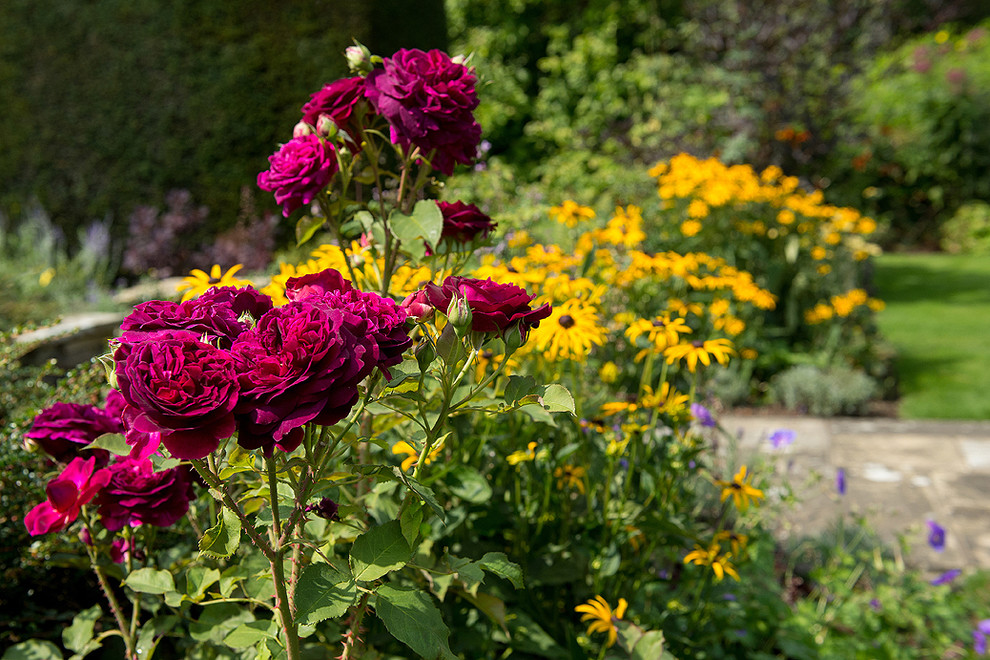 Источник вдохновения для домашнего уюта: летний регулярный сад в классическом стиле с полуденной тенью