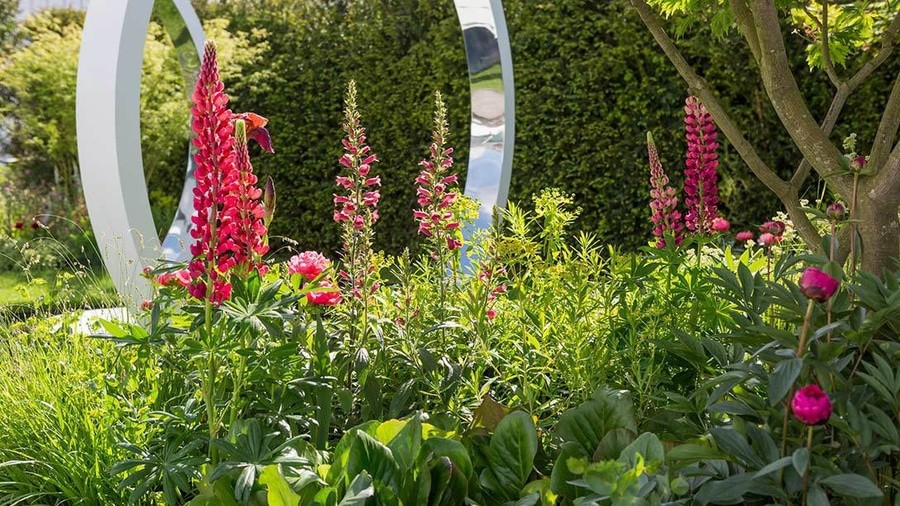 Esempio di un giardino design di medie dimensioni e dietro casa in estate