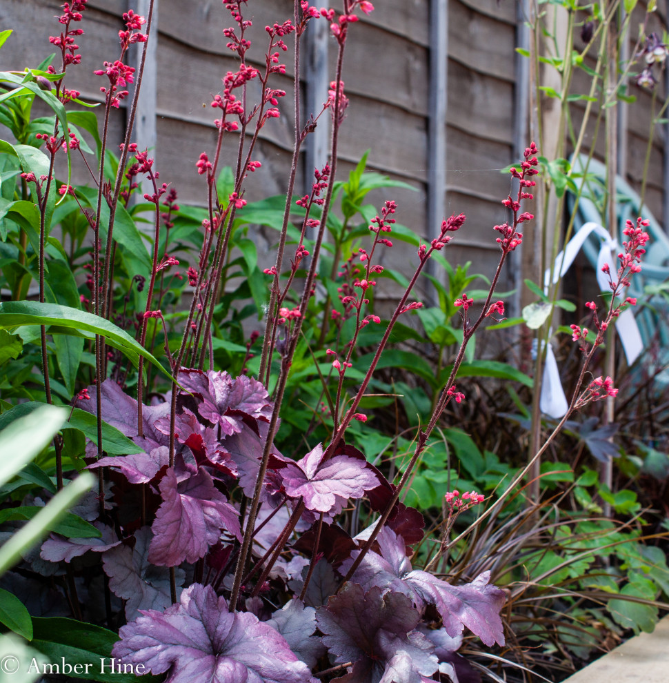 Источник вдохновения для домашнего уюта: маленький засухоустойчивый сад на заднем дворе в стиле кантри с клумбами для на участке и в саду