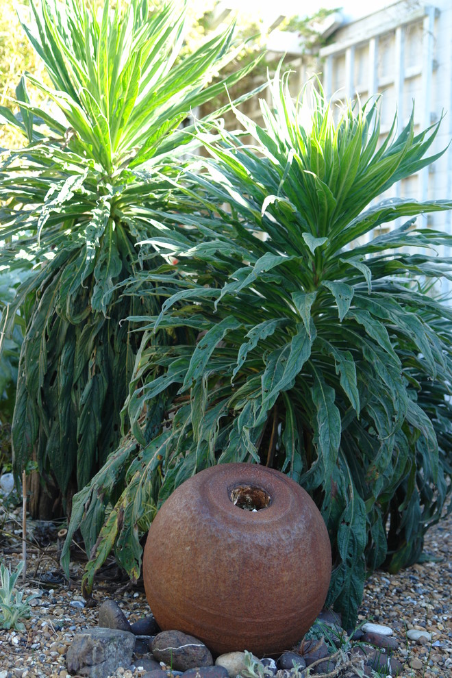 Imagen de jardín de secano bohemio de tamaño medio en verano en patio trasero con exposición total al sol y gravilla