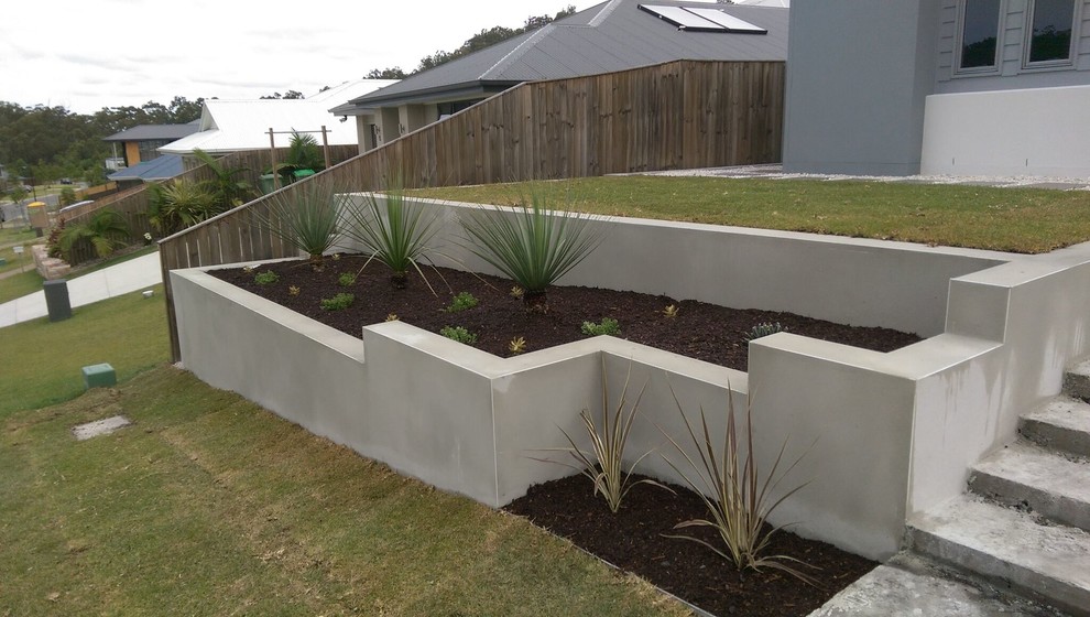Inspiration for a contemporary front formal full sun garden in Brisbane with mulch.