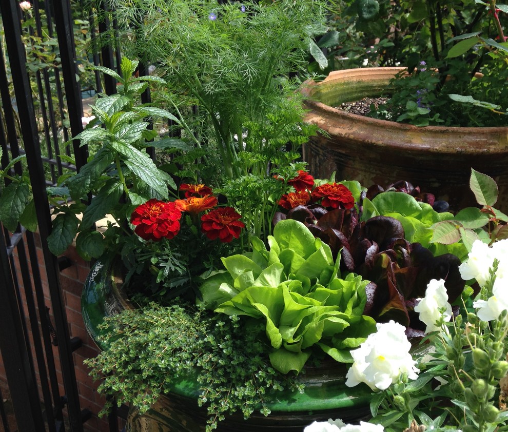 Esempio di un piccolo giardino bohémian con un giardino in vaso