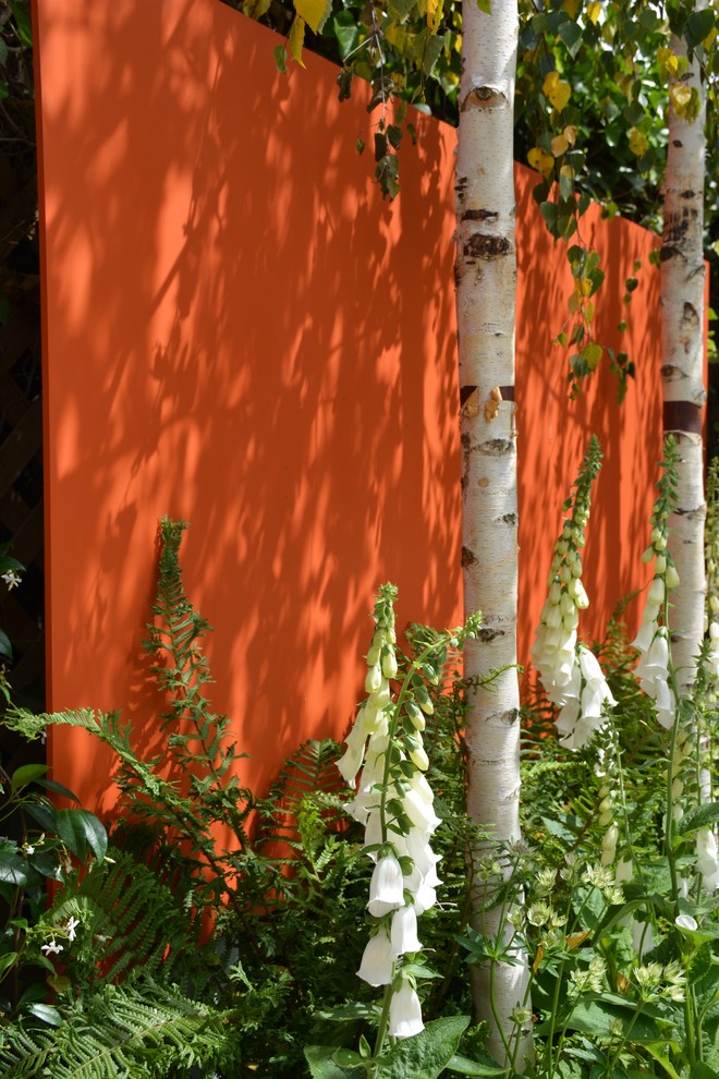 Photo of a medium sized contemporary back formal full sun garden for summer in London.