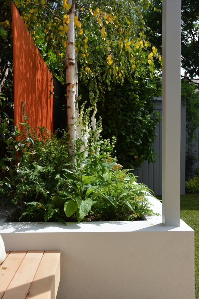 Modelo de jardín actual de tamaño medio en verano en patio trasero con jardín francés y exposición total al sol