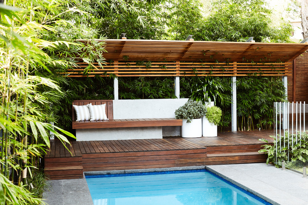 This is an example of a mid-sized contemporary full sun backyard landscaping in Sydney.