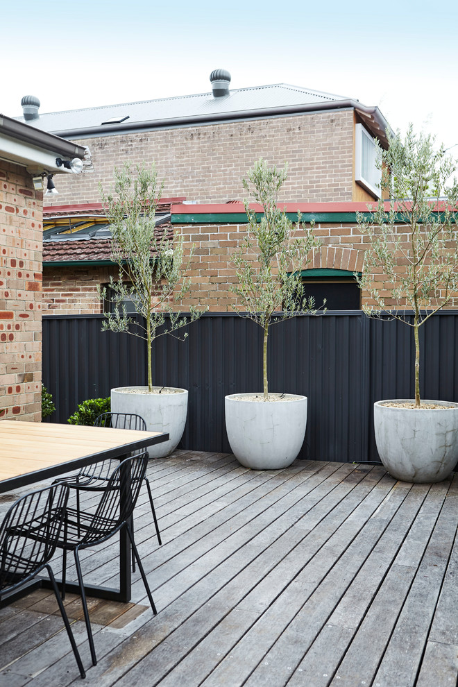 Свежая идея для дизайна: участок и сад среднего размера на внутреннем дворе в современном стиле с растениями в контейнерах - отличное фото интерьера