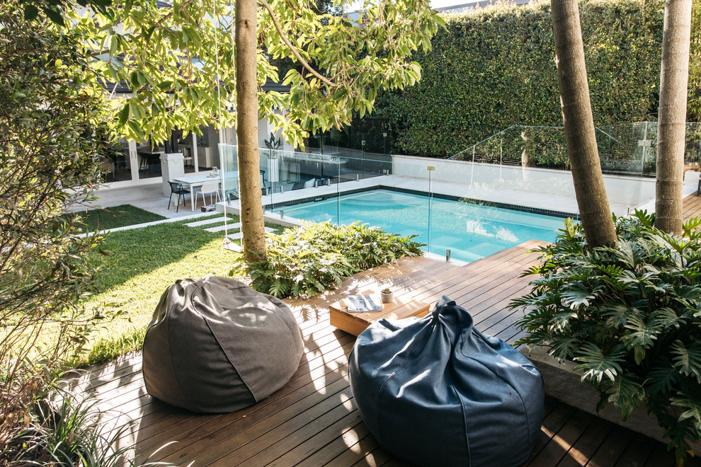Großer Moderner Garten hinter dem Haus in Sydney