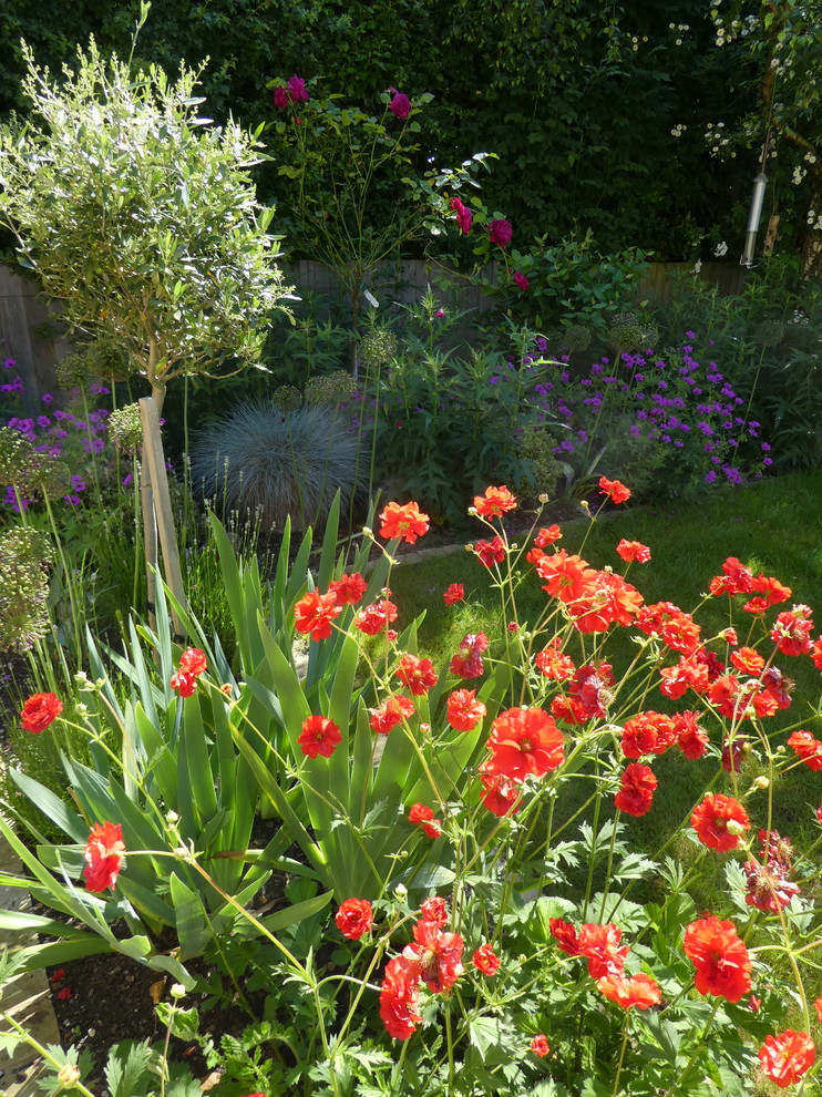 Imagen de jardín contemporáneo de tamaño medio en patio trasero con exposición total al sol