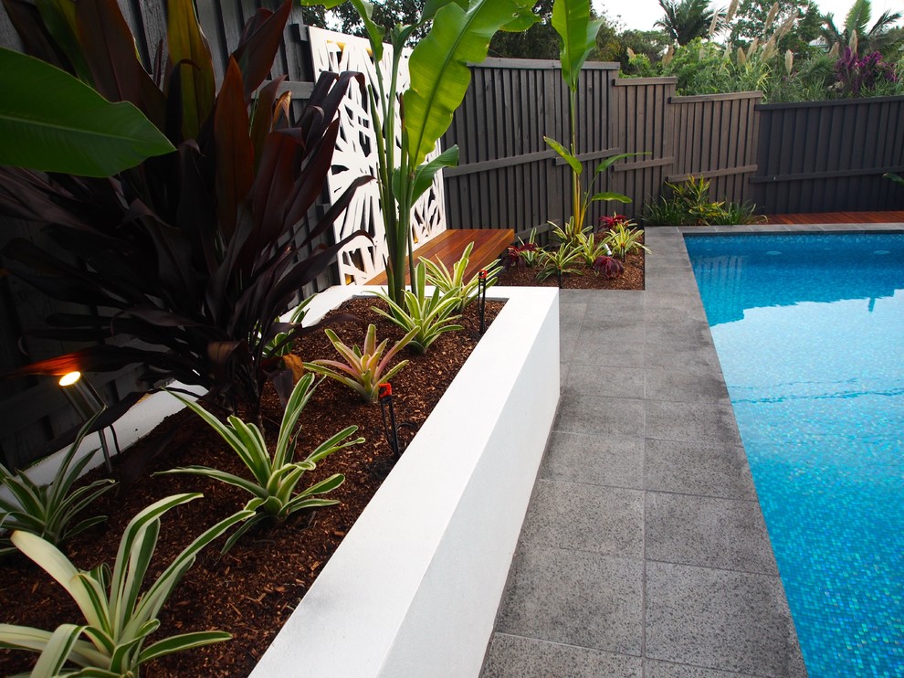 Red Hill II - Modern - Landscape - Brisbane - by Utopia Landscape ...