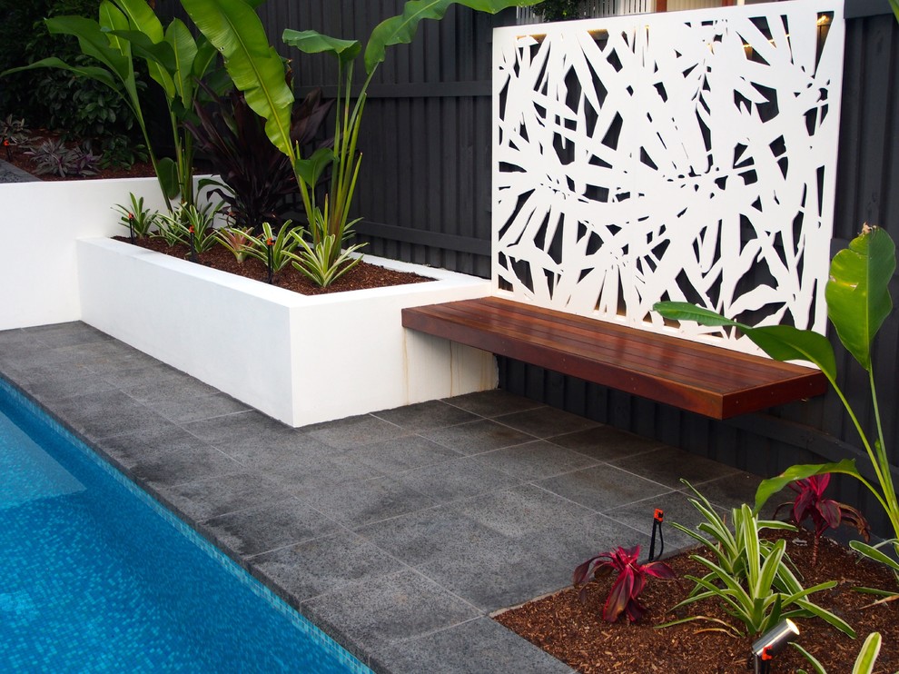 Cette image montre un petit jardin minimaliste avec des pavés en pierre naturelle.