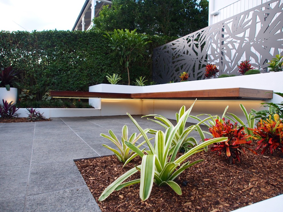 Design ideas for a small modern courtyard garden in Brisbane with natural stone paving.