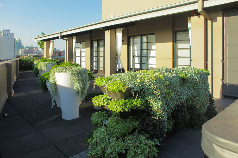 Foto di un giardino minimalista di medie dimensioni e sul tetto con pacciame