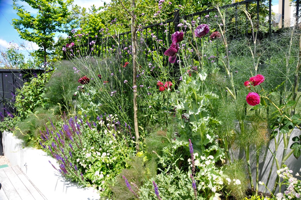 Immagine di un giardino minimal esposto in pieno sole di medie dimensioni e dietro casa in estate