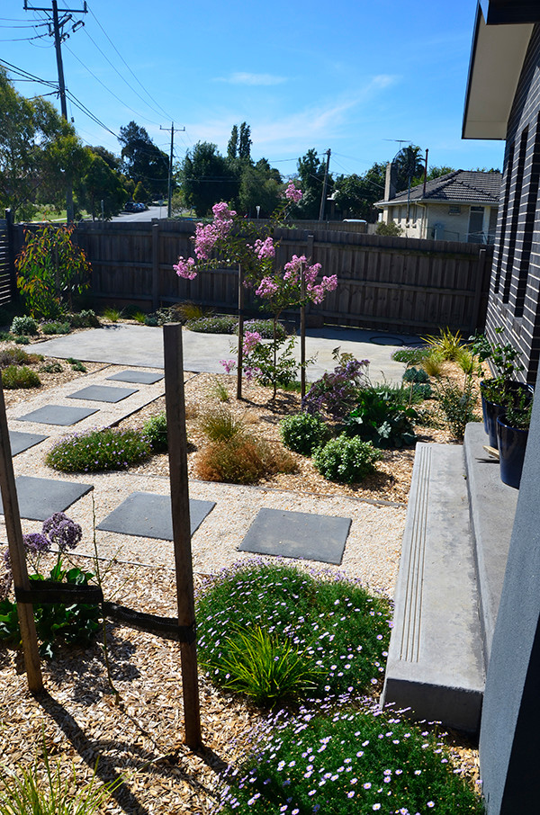 Cette image montre un jardin avant design de taille moyenne et l'été avec une exposition ensoleillée et du gravier.