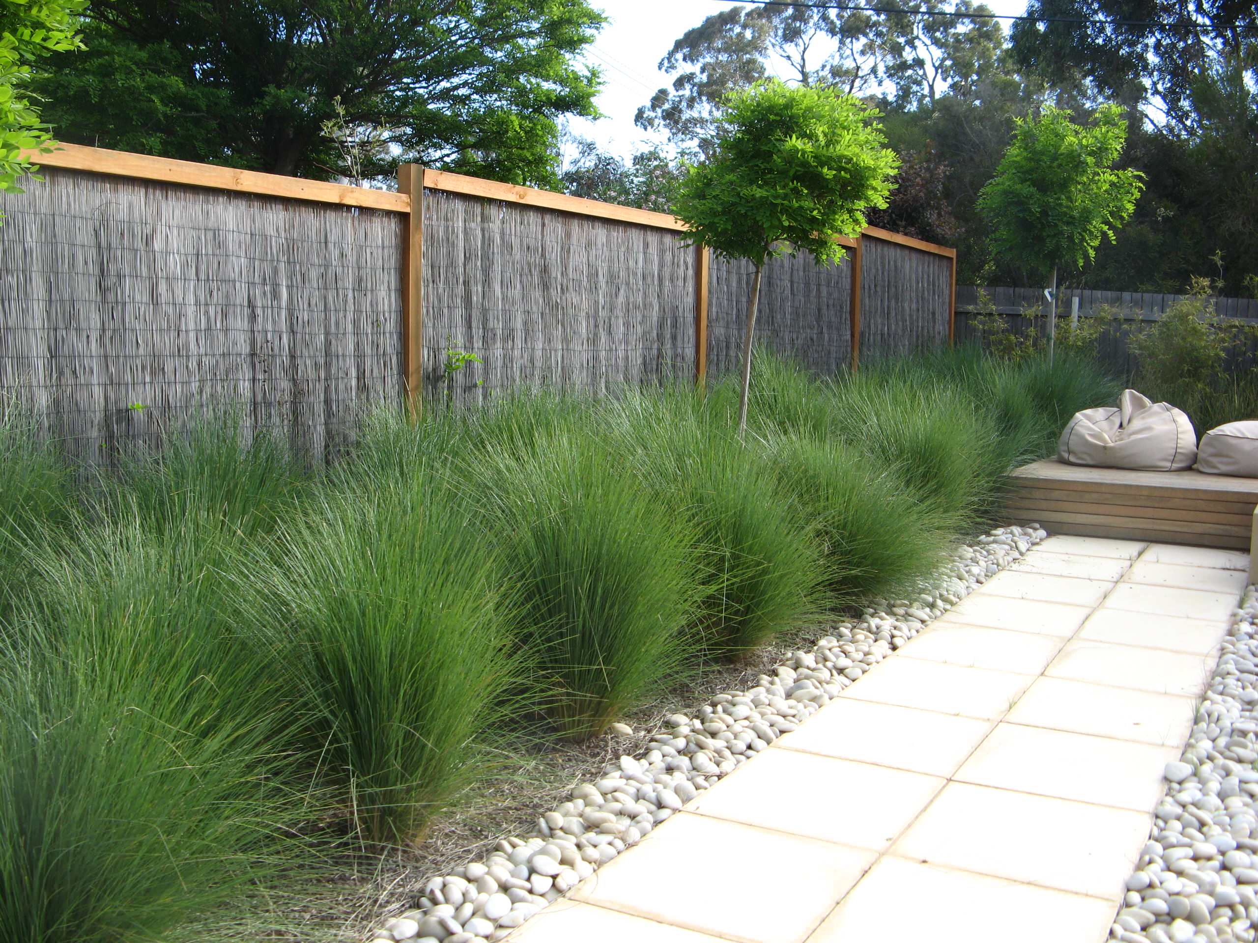 Residence Griffith Act Contemporary Landscape Canberra Queanbeyan By Provincial Plants And Landscapes Houzz